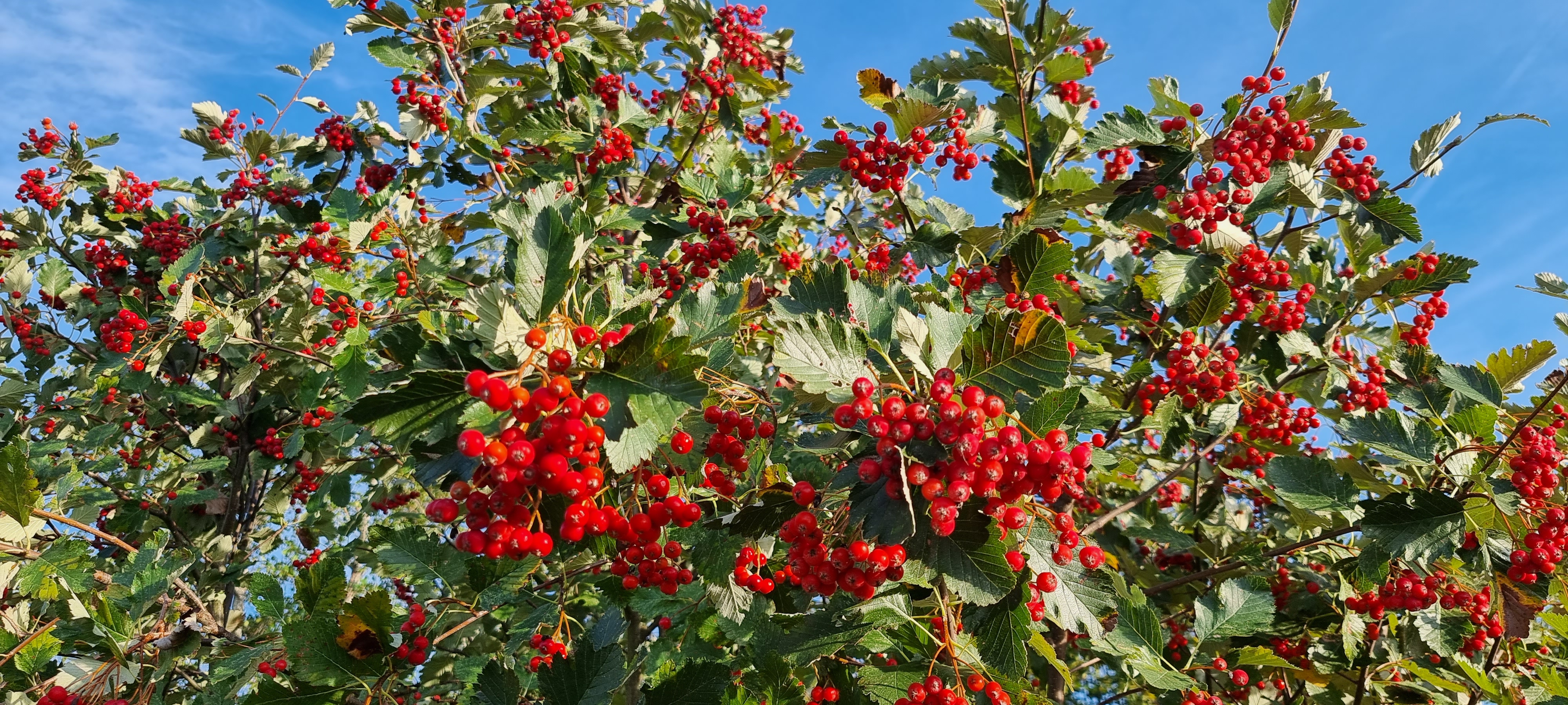 Einladender Raum des Kaleidoskop Instituts