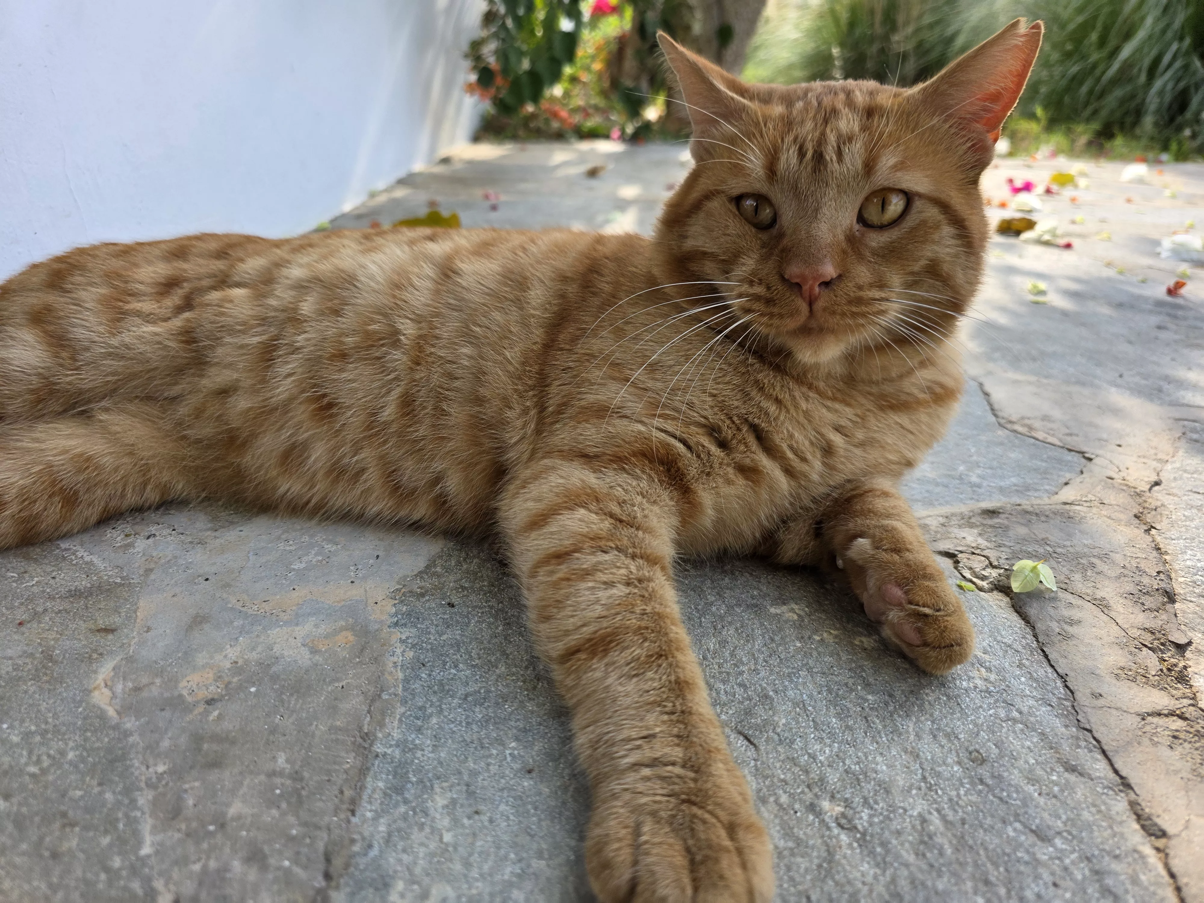 Eine Person, die kraftvoll und zentriert wirkt