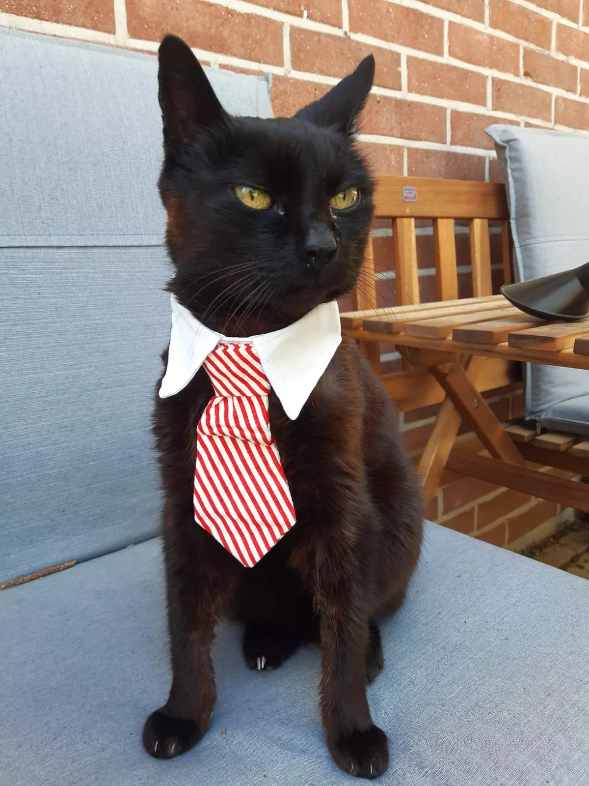 Interdisziplinäre Gruppensupervision 